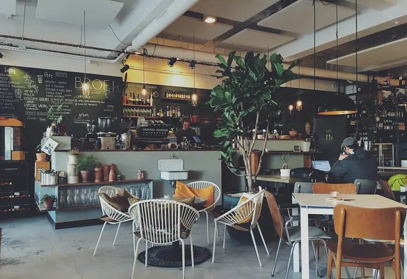 0 to 50k followers for a fast-growing café chain — Social Media case study